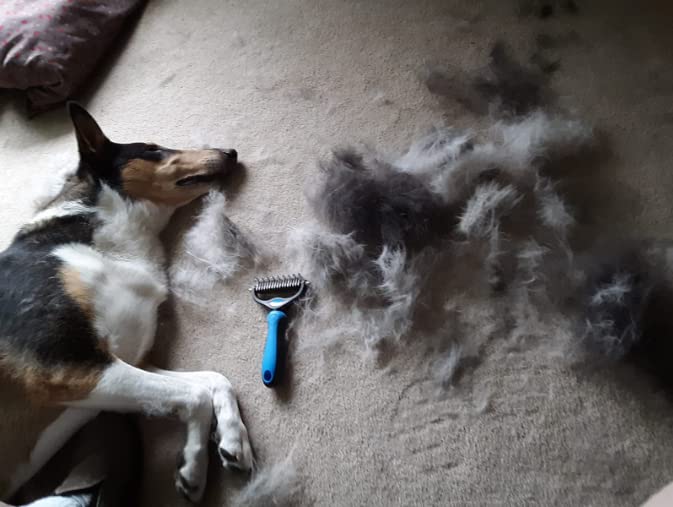 Pet Grooming Brush & Nail Clippers Trimmers - Double Sided Shedding and Dematting Undercoat Rake Comb for Dogs and Cats - Safe Dematting Comb for Easy Mats & Tangles Removing (Blue), Large
